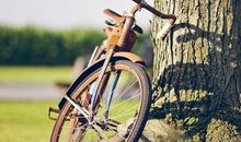 寂多蔓生2017年10月金牛座运势