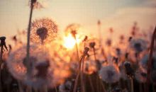 教大家看老黄历择选吉日