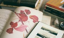 如萱占卜2017年7月巨蟹座运势