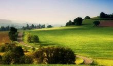 婚神星在牡羊座或第1宫