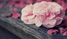 Alex12星座一周运势2013.1.4-11.10