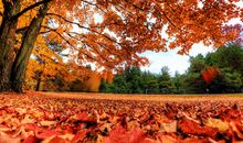 金秋十月，天蝎座会收获什么