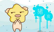 属猪在手机中必装哪几款APP