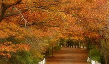 金秋十月，天秤座会收获什么