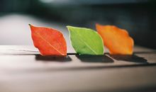 河洛派紫微斗数—论行业