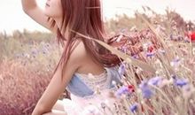 河洛派紫微斗数—原盘十二宫之审察