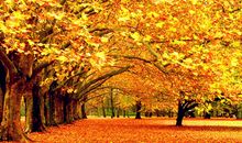 金秋十月，白羊座会收获什么