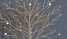 处女座女生异性缘爆棚法