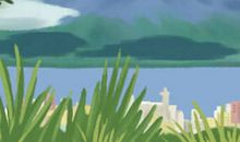 重阳节献给天蝎妈妈靓汤