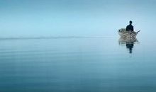 处女座愚与被愚指数