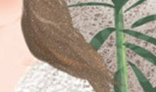 天蝎座为何不再爱？