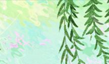 金牛座女生喜欢哪一类型的老公