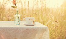 季欣麟微星座一周运势（3.7-3.13）