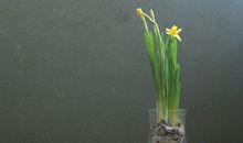 Alex双鱼座一周运势（3.5-3.11）