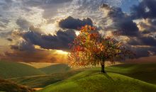 王亭之谈星：七杀、破军