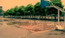 双子座在爱与被爱之间