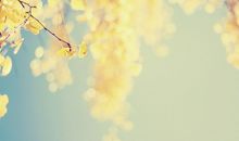 观星殿的谈笑（七）三台八座恩光天贵