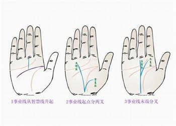 手相诠释：职业路线和太阳路线的影响