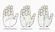 手相解读：事业线与太阳线的影响力