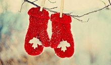 小乖麻根登卓玛2013年7月金牛座运势