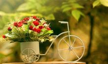 TIM:天蝎座一周运势（5.6-5.12）