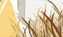 2015年处女座旅行指南