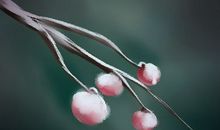 当老公弄坏了自己的化妆品水瓶女怎么办