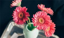 莫小奇:十二星座一周运势（5.7-5.13）