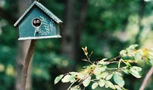 小孟老师2017年9月星座运势