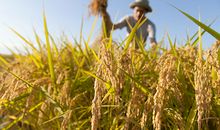 八字看如何预防飞来横祸