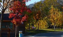 海百合12星座一周运势(2.8-2.15)