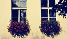 燃犀塔罗每日运势2014年5月7日