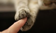 天秤座在爱与被爱之间