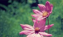 Alex:水瓶座一周运势（5.7—5.13）