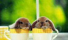 天蝎座在爱与被爱之间