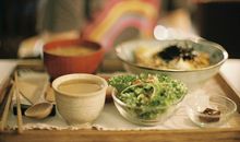 射手座在爱与被爱之间