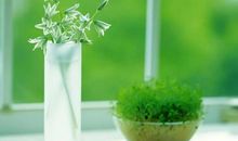 静电鱼:十二星座一周运势（5.7-5.13）