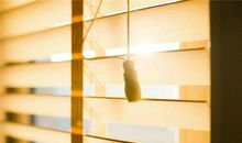 Alex:巨蟹座一周运势（5.7—5.13）