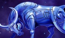 金牛肯为爱做的荒唐事