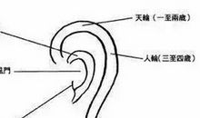 从10种耳相看女人的命运