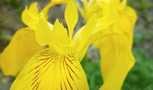 最应该被去除的痣都有哪些?有着怎样的含义?