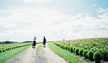 占星之门2014年11月星座运势