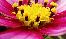 什么地方长红痣好运连连?