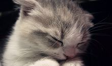 牡羊座在爱与被爱之间