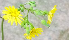 哪些痣相会带来霉运?