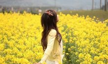 百变巫女12星座运势（4.21-4.27）