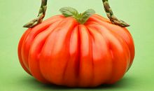 唐立淇2013年9月金牛座运势