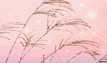 让处女座男生旧情复燃方法