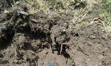 小孟老师今日星座运势（2016年8月24日）