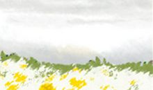 处女座2015年爱情劫运